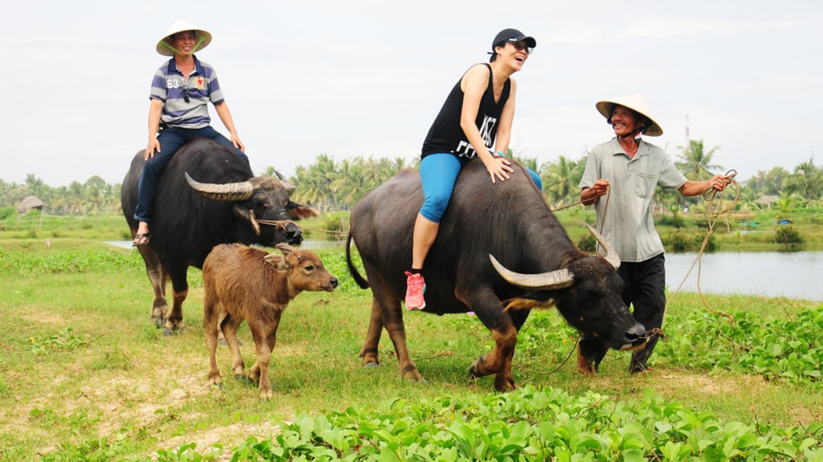 Tour đạp xe, cưỡi trâu, trải nghiệm cuộc sống nông nghiệp và ngư nghiệp truyền thống